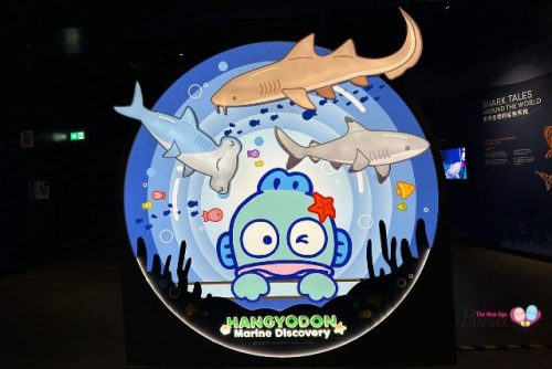 Singapore Oceanarium Hangyodon