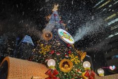 Places to see snow in Singapore this Christmas 2025 Places to see snow in Singapore this Christmas 2025