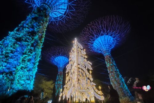 Christmas-Wonderland-Gardens-