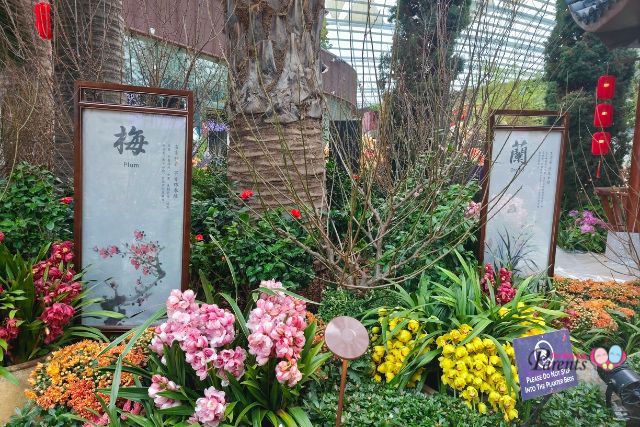 Spring Blossoms Four Gentlemen