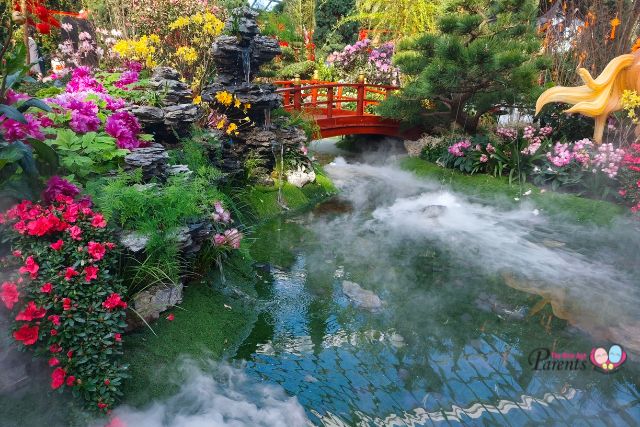 Spring Blossoms Jiangnan-style