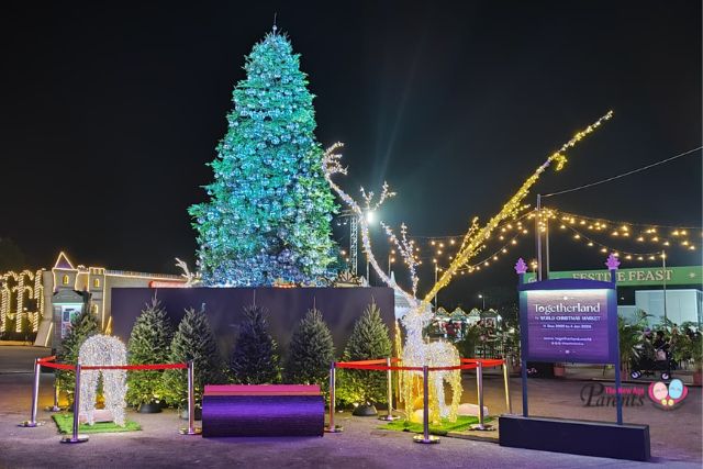 Togetherland Real Christmas Tree