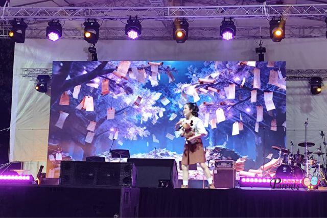 Togetherland live music