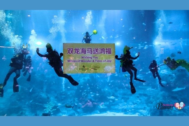 Singapore Oceanarium CNY Underwater Dive presentation