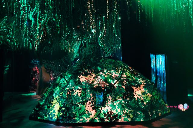 Exploria Infinite Wonderland rainforest