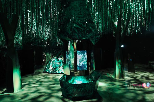 Exploria Infinite Wonderlands Sounds of the Forest