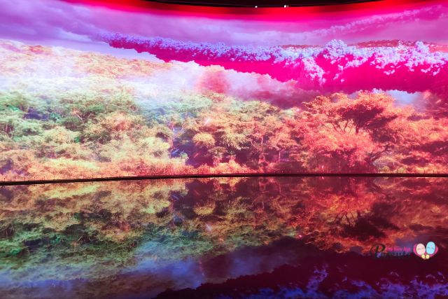 Exploria The Giants Show