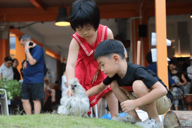 Future Forest Festival