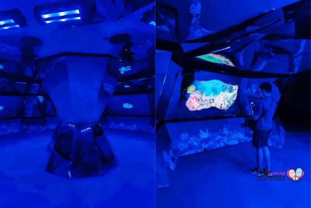 Infinite Wonderland Coral reefs