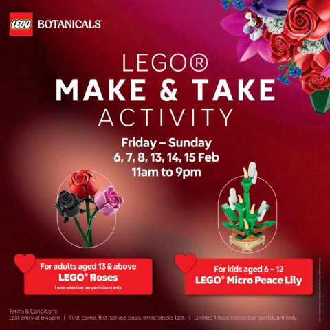 LEGO Botanicals Make and Take activity