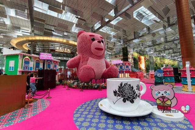 Bellygom Changi Airport