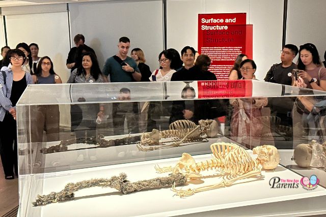 Flesh and Bones ArtScience Museum