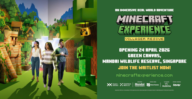 Minecraft Experience Villager Rescue