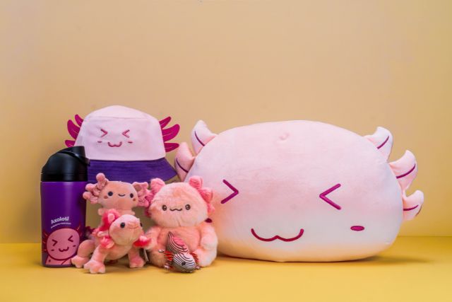 Ocean Kids Festival Axolotl Merchandise
