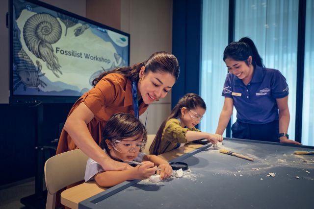 Ocean Kids Festival Fossilist Workshop