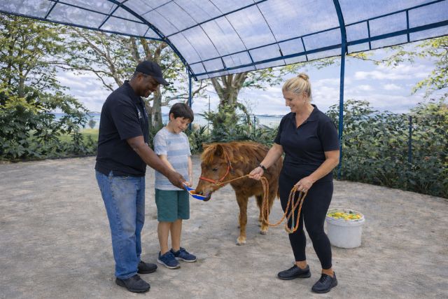 Shangri-La Rasa Sentosa Pony Feeding, Grooming, and Educational Session