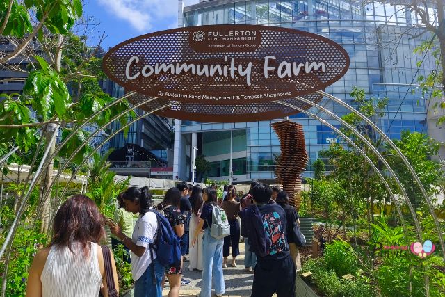 Temasek Shophouse Community Farm