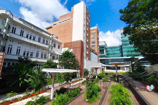 A New Green Playground for Families: Temasek Shophouse Opens Outdoor Community Space A New Green Playground for Families: Temasek Shophouse Opens Outdoor Community Space