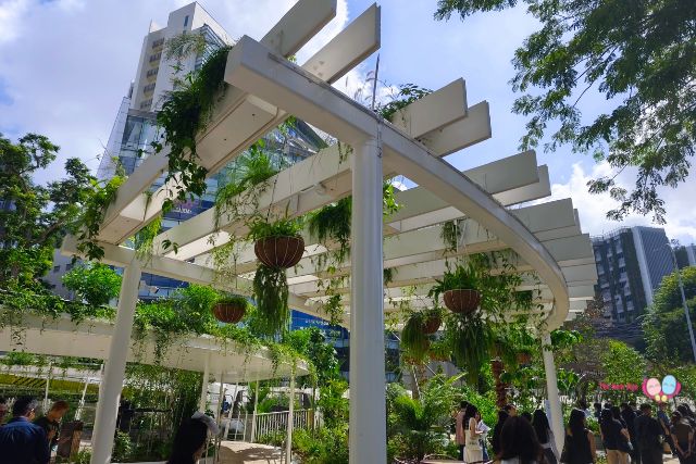 Temasek Shophouse close with nature