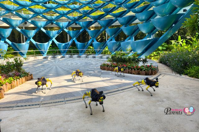 Robodog dance performances