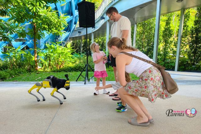 Innovative robodog pilot programme running from 18 April to 17 May 2026 at Sentosa Sensoryscape