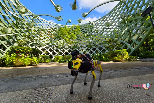 Robodog pilot programme Sentosa SensoryScape