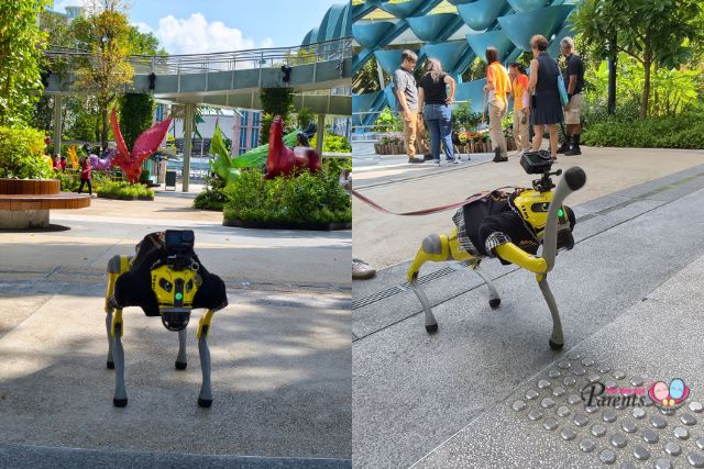 Robodogs Guided tours
