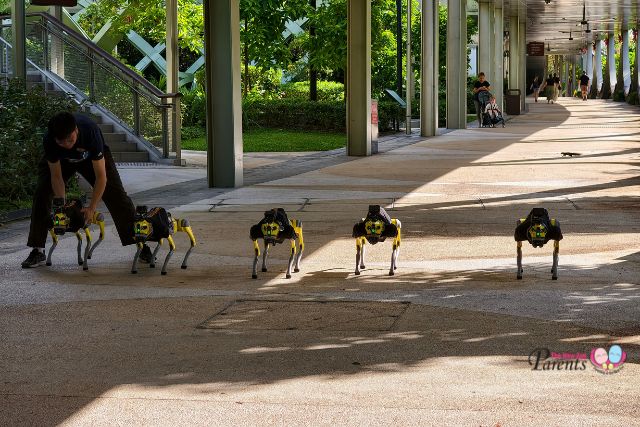 Sentosa robodog pilot programme