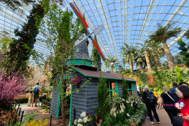 Tulipmania De Kat Windmill