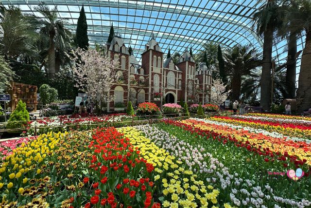 Gardens by the Bay’s Tulipmania returns for its 12th edition 梦幻郁金香