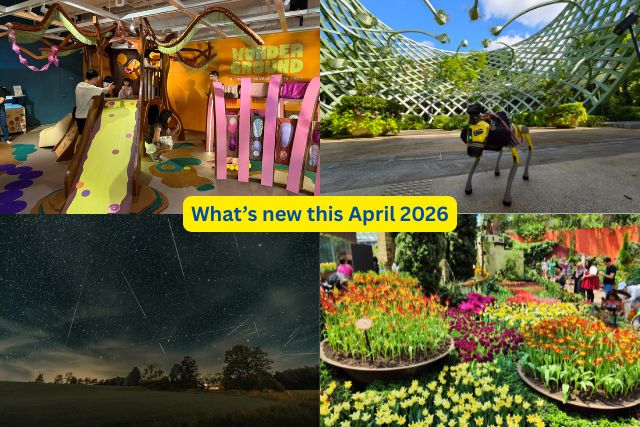 TNAP Highlights: What’s new in Singapore April 2026
