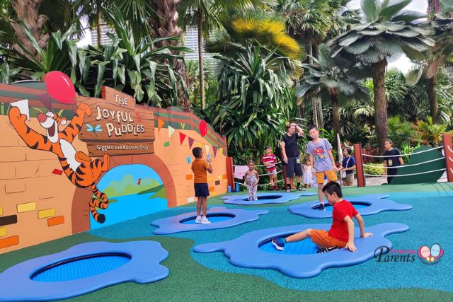 Children's Festival The Joyful Puddles