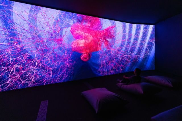 Evolver by Marshmallow Laser Feast within Flesh and Bone
