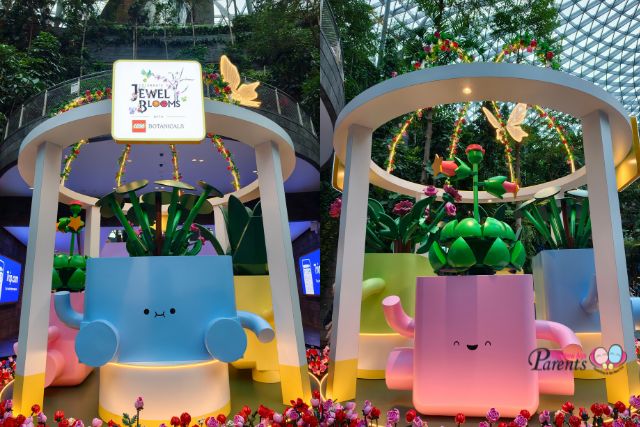 LEGO Botanicals Happy Plants