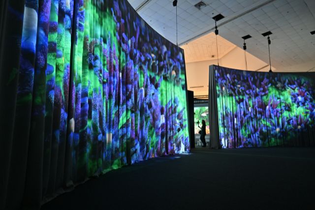 ONE Ocean Exhibition Lobby Theatre of Life