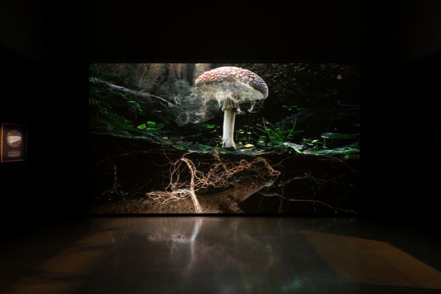 Poetics of Soil Fly Agari by Marshmallow Laser Feast