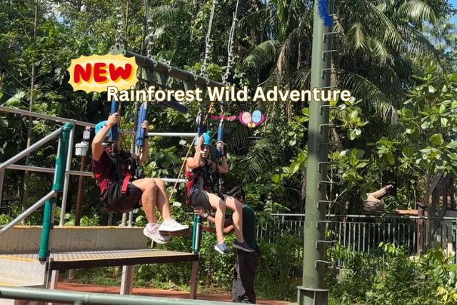 Rainforest Wild Adventure opens second phase this May Rainforest Wild Adventure opens second phase this May