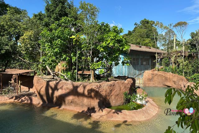 Rainforest Wild Adventure