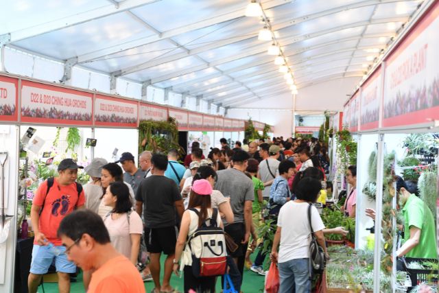 Singapore Garden Festival The Marketplace