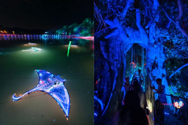 A Magical Island Adventure Manta Ray