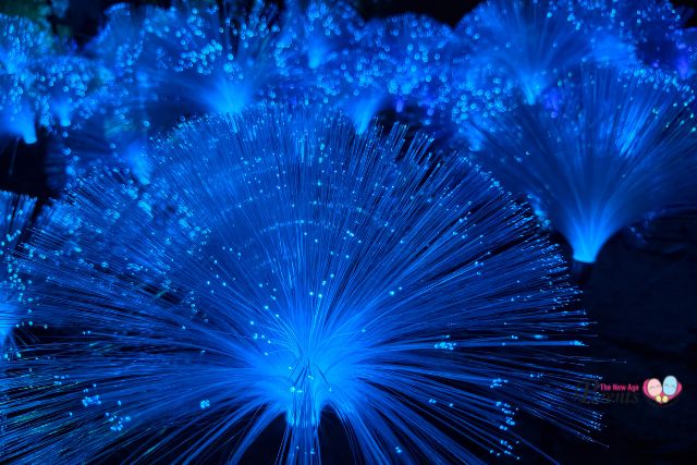 A Magical Island Adventure glowing trails