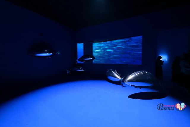 ArtScience Museum Into the Ocean Journey Beneath
