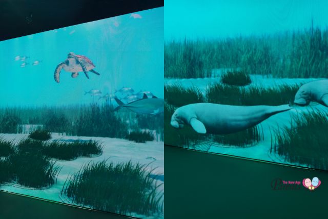 ArtScience Museum Into the Ocean Journey Beneath