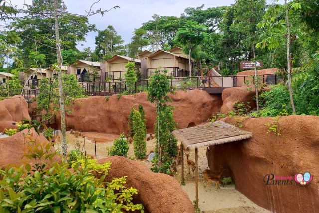 Crocodile Lodge Glamping in the Wild