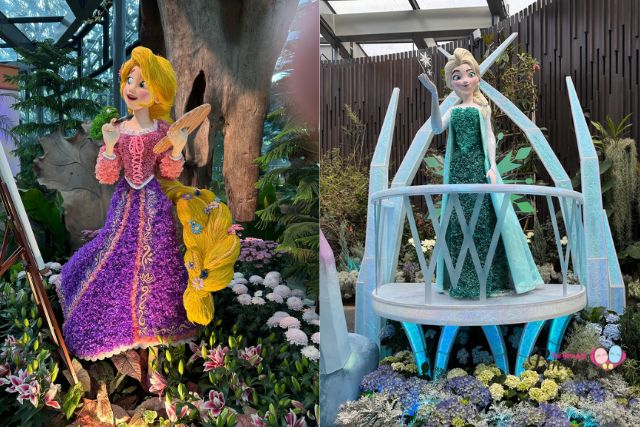 Disney Garden of Wonder Princess