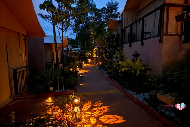 Glamping in the Wild Crocodile Lodge