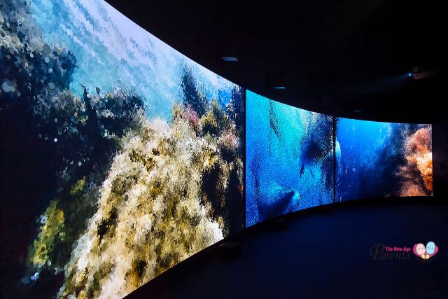 Into the Ocean Journey Beneath ArtScience Museum