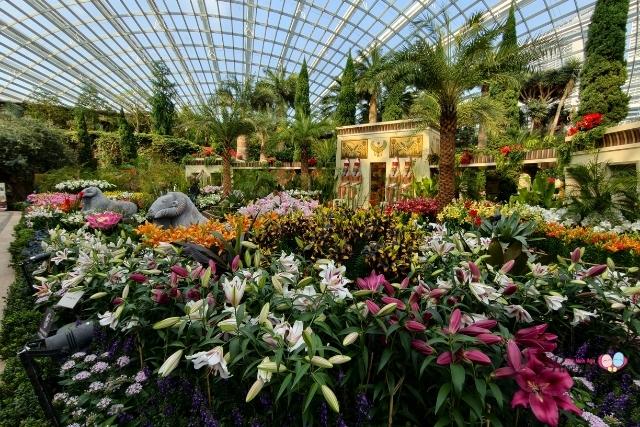 Lilytopia Egypt-themed Floral Display coming to Flower Dome