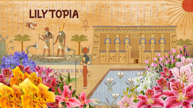 Lilytopia