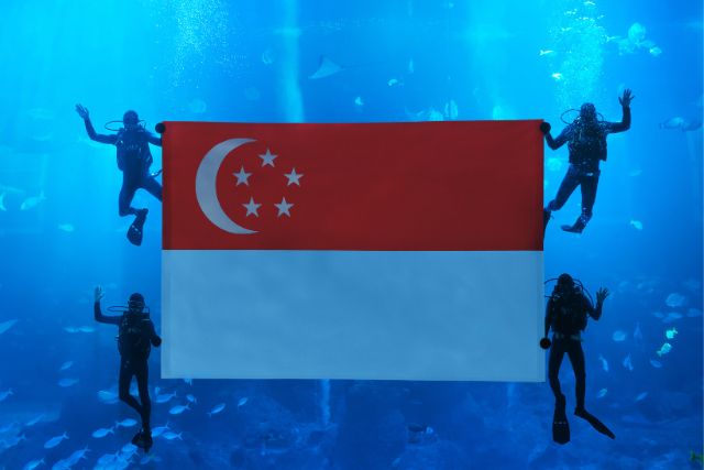 National Day Dive Presentation